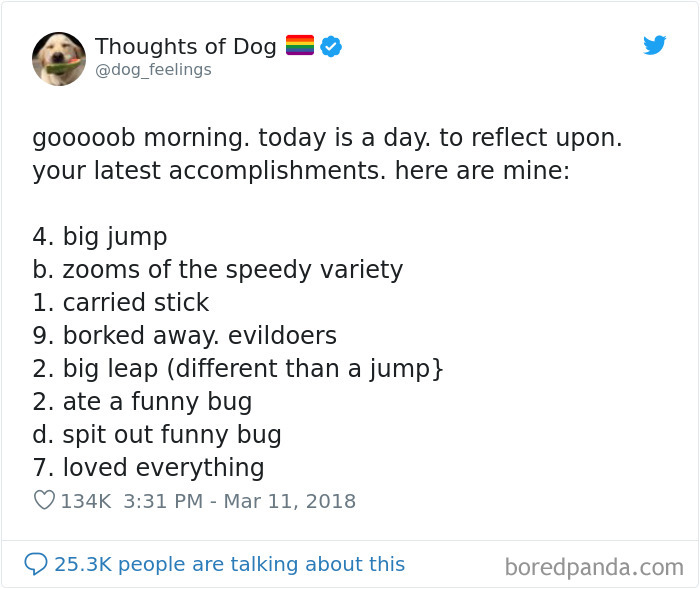 30 Of The Funniest Dog Thoughts That Dog Owners Will Understand Too Well 30 Of The Funniest Dog Thoughts That Dog Owners Will Understand Too Well