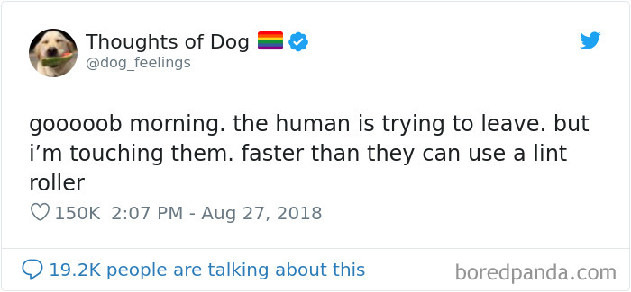 30 Of The Funniest Dog Thoughts That Dog Owners Will Understand Too Well 30 Of The Funniest Dog Thoughts That Dog Owners Will Understand Too Well