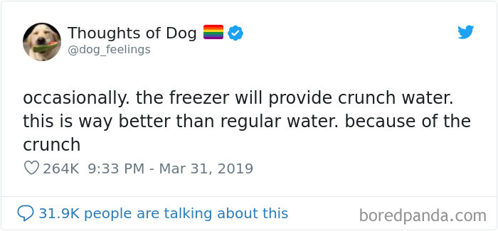 30 Of The Funniest Dog Thoughts That Dog Owners Will Understand Too Well 30 Of The Funniest Dog Thoughts That Dog Owners Will Understand Too Well