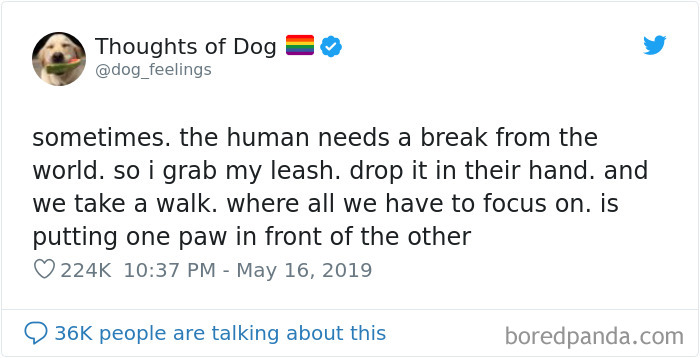 30 Of The Funniest Dog Thoughts That Dog Owners Will Understand Too Well 30 Of The Funniest Dog Thoughts That Dog Owners Will Understand Too Well