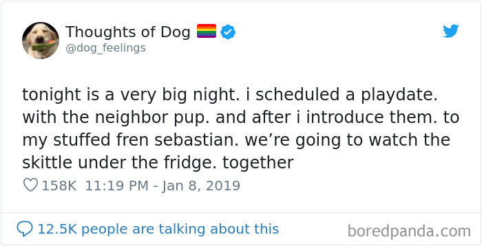 30 Of The Funniest Dog Thoughts That Dog Owners Will Understand Too Well 30 Of The Funniest Dog Thoughts That Dog Owners Will Understand Too Well