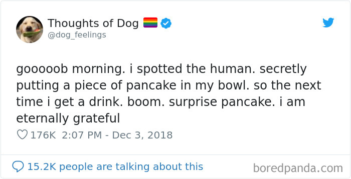 30 Of The Funniest Dog Thoughts That Dog Owners Will Understand Too Well 30 Of The Funniest Dog Thoughts That Dog Owners Will Understand Too Well