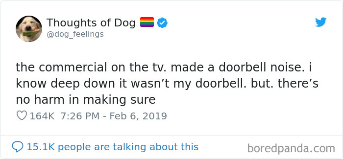 30 Of The Funniest Dog Thoughts That Dog Owners Will Understand Too Well 30 Of The Funniest Dog Thoughts That Dog Owners Will Understand Too Well