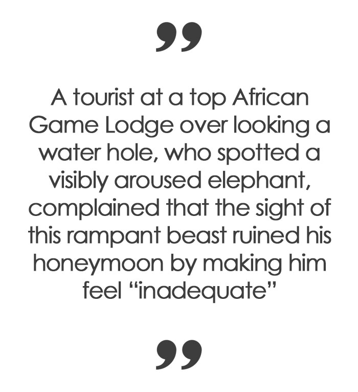 23 Travel Complaints That Measure The Limits Of Human Stupidity