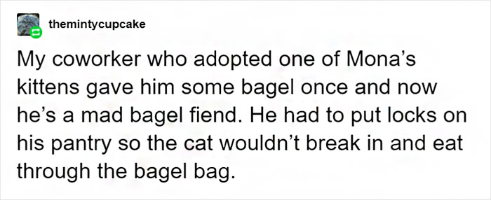 Tumblr User Explain Why Cats Are Obsessed With Eating Bread Tumblr User Explain Why Cats Are Obsessed With Eating Bread