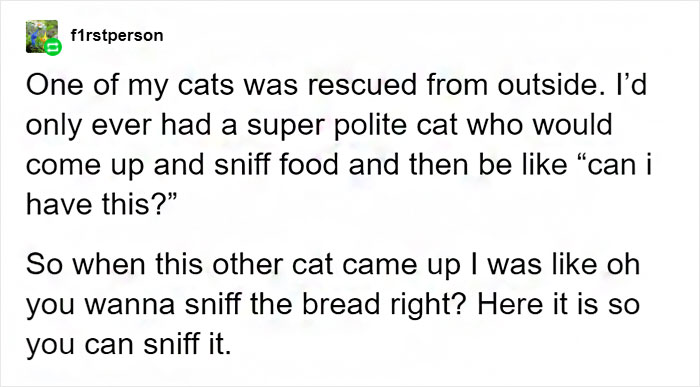 Tumblr User Explain Why Cats Are Obsessed With Eating Bread Tumblr User Explain Why Cats Are Obsessed With Eating Bread