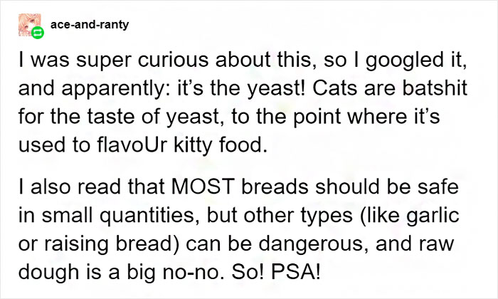 Tumblr User Explain Why Cats Are Obsessed With Eating Bread Tumblr User Explain Why Cats Are Obsessed With Eating Bread