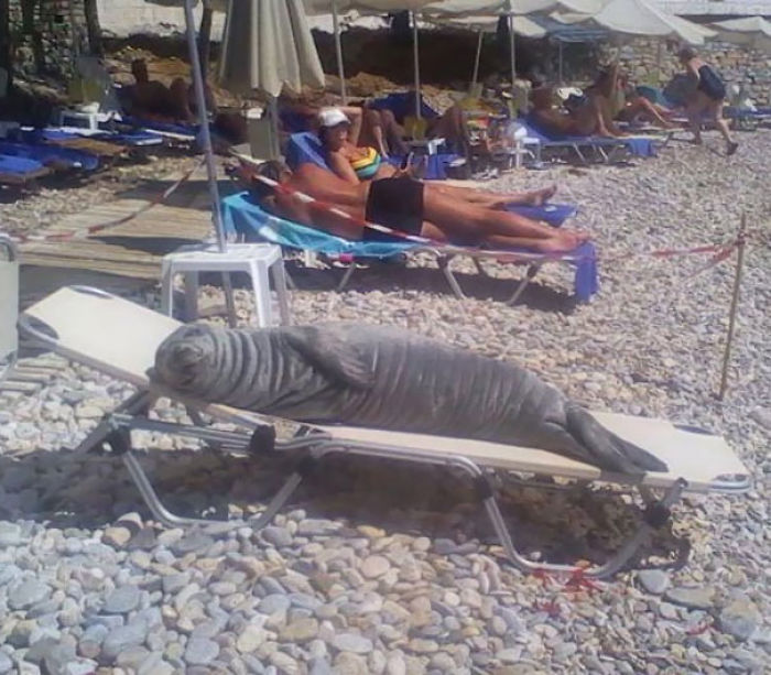 33 Times People Witnessed Something Interesting At The Beach And Just Had To Share It