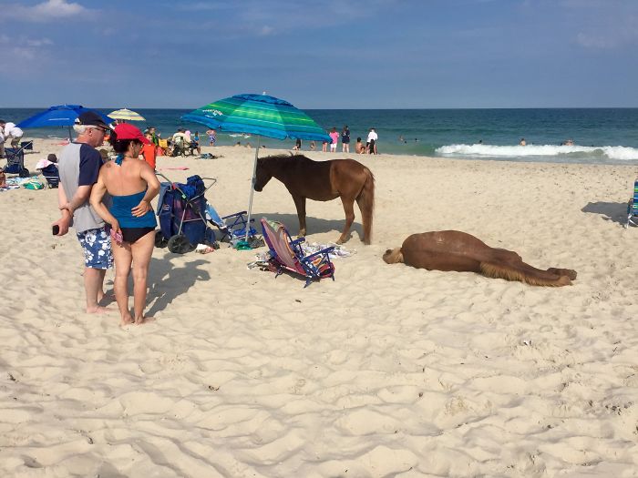 33 Times People Witnessed Something Interesting At The Beach And Just Had To Share It