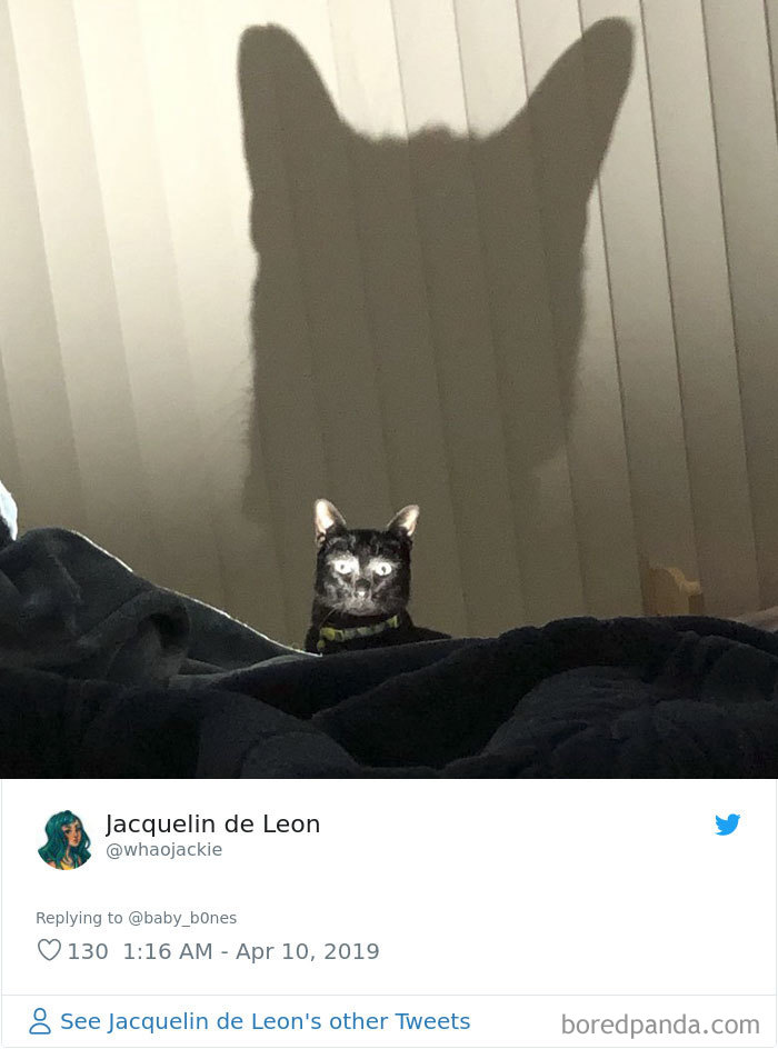 People Are Sharing The Most Unflattering Pics Of Their Pets And It’s Hilarious (30 Pics) People Are Sharing The Most Unflattering Pics Of Their Pets And It’s Hilarious (30 Pics)