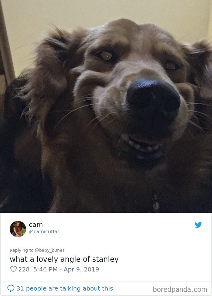 People Are Sharing The Most Unflattering Pics Of Their Pets And It’s Hilarious (30 Pics) People Are Sharing The Most Unflattering Pics Of Their Pets And It’s Hilarious (30 Pics)