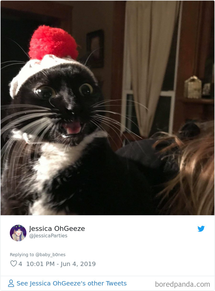 People Are Sharing The Most Unflattering Pics Of Their Pets And It’s Hilarious (30 Pics) People Are Sharing The Most Unflattering Pics Of Their Pets And It’s Hilarious (30 Pics)