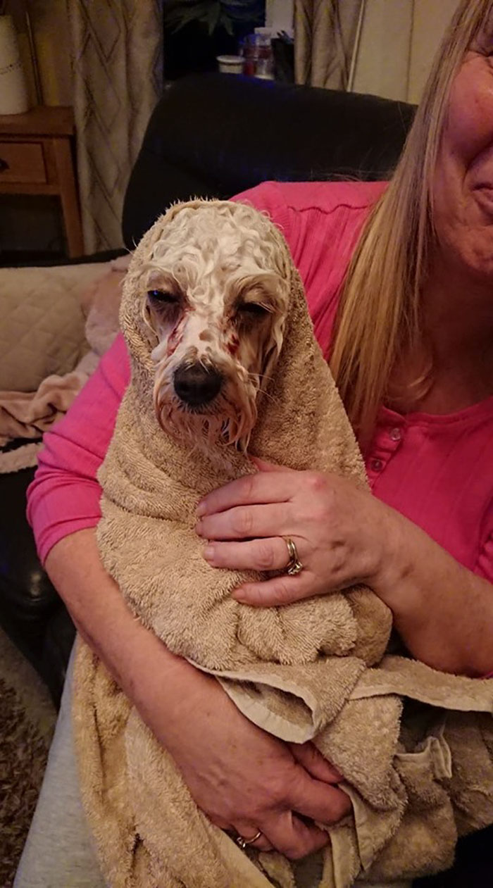 People Are Sharing The Most Unflattering Pics Of Their Pets And It’s Hilarious (30 Pics) People Are Sharing The Most Unflattering Pics Of Their Pets And It’s Hilarious (30 Pics)