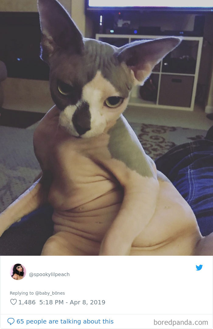 People Are Sharing The Most Unflattering Pics Of Their Pets And It’s Hilarious (30 Pics) People Are Sharing The Most Unflattering Pics Of Their Pets And It’s Hilarious (30 Pics)