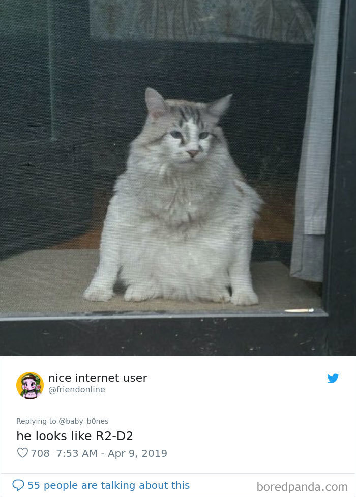 People Are Sharing The Most Unflattering Pics Of Their Pets And It’s Hilarious (30 Pics) People Are Sharing The Most Unflattering Pics Of Their Pets And It’s Hilarious (30 Pics)