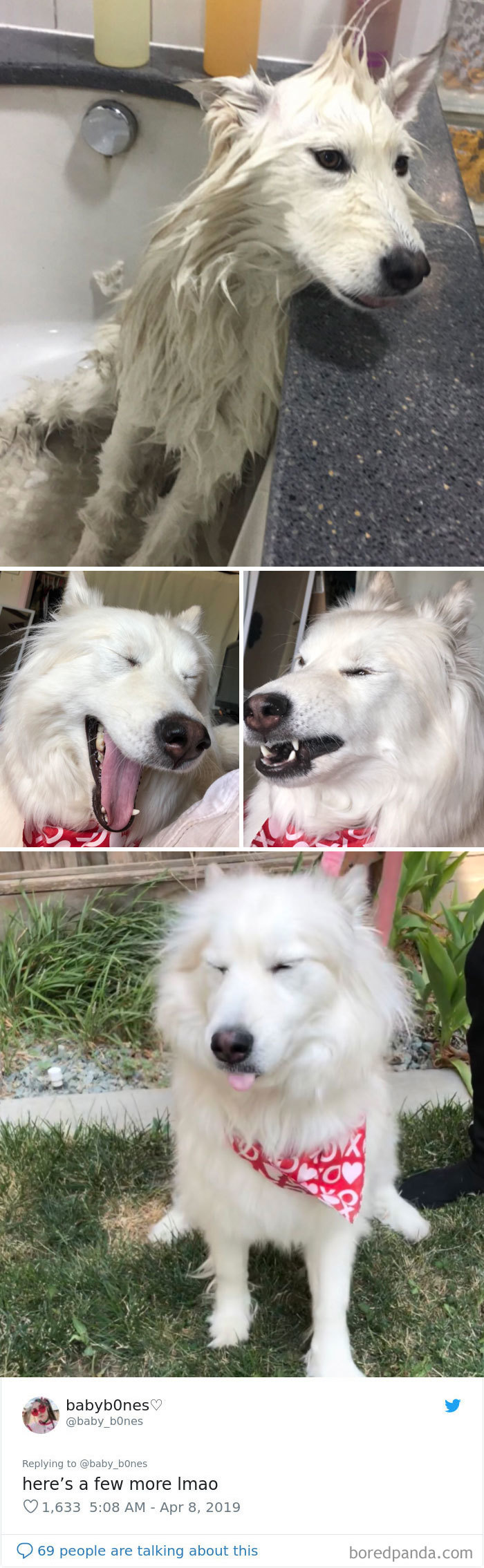 People Are Sharing The Most Unflattering Pics Of Their Pets And It’s Hilarious (30 Pics) People Are Sharing The Most Unflattering Pics Of Their Pets And It’s Hilarious (30 Pics)