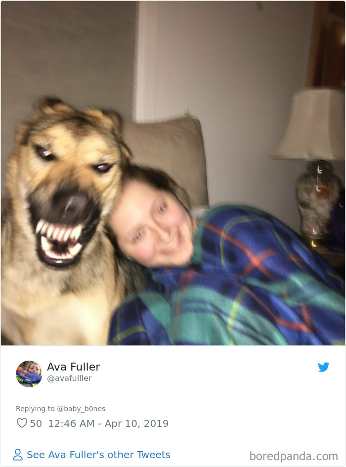 People Are Sharing The Most Unflattering Pics Of Their Pets And It’s Hilarious (30 Pics) People Are Sharing The Most Unflattering Pics Of Their Pets And It’s Hilarious (30 Pics)