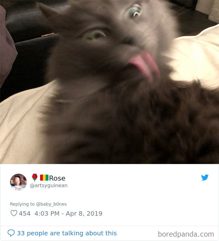 People Are Sharing The Most Unflattering Pics Of Their Pets And It’s Hilarious (30 Pics) People Are Sharing The Most Unflattering Pics Of Their Pets And It’s Hilarious (30 Pics)