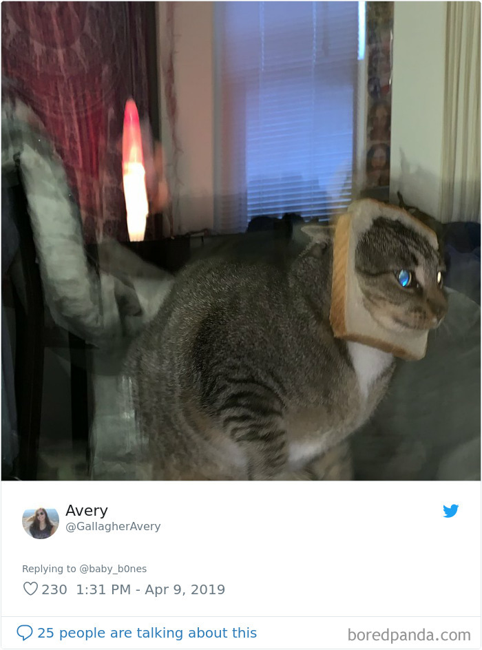 People Are Sharing The Most Unflattering Pics Of Their Pets And It’s Hilarious (30 Pics) People Are Sharing The Most Unflattering Pics Of Their Pets And It’s Hilarious (30 Pics)