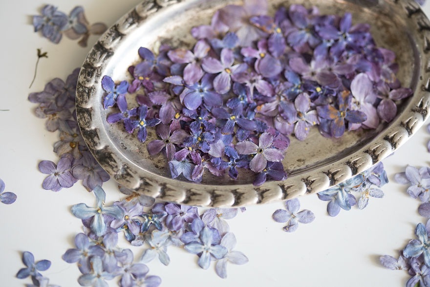 I Quit My Job To Follow My Passion Of Delicate Framed Herbariums I Quit My Job To Follow My Passion Of Delicate Framed Herbariums