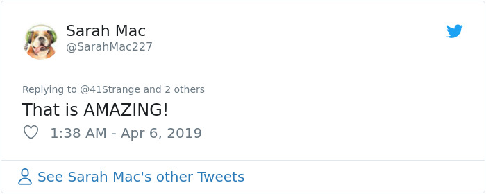German Circus Uses Holograms Instead Of Live Animals For A Cruelty-Free Magical Experience German Circus Uses Holograms Instead Of Live Animals For A Cruelty-Free Magical Experience
