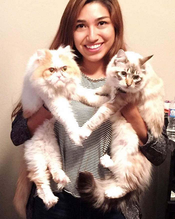 The Internet Has Found A New Grumpy Cat The Internet Has Found A New Grumpy Cat