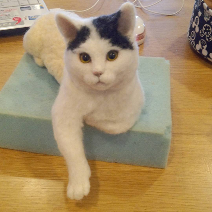 25 Wool Animals That Will Make You Look Twice