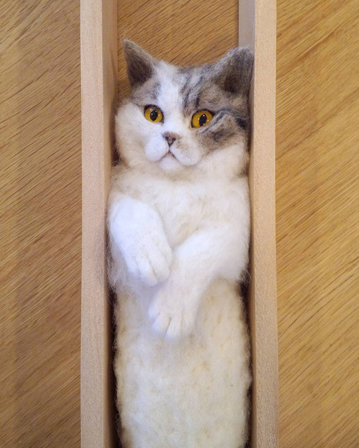 25 Wool Animals That Will Make You Look Twice