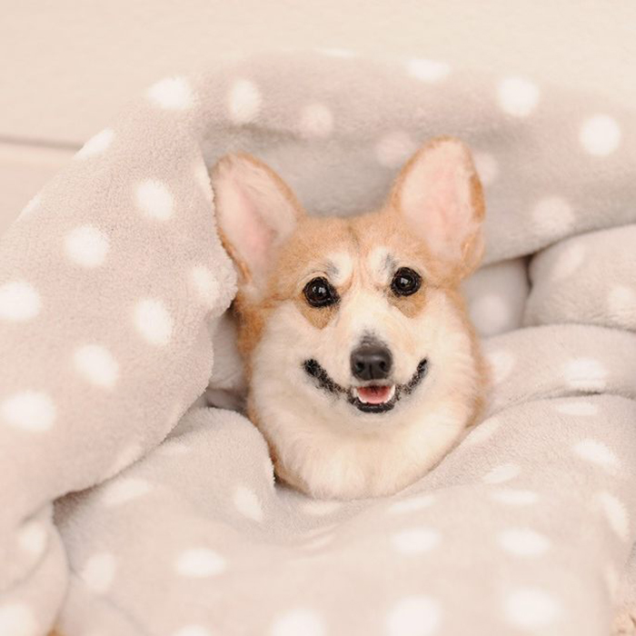 25 Wool Animals That Will Make You Look Twice