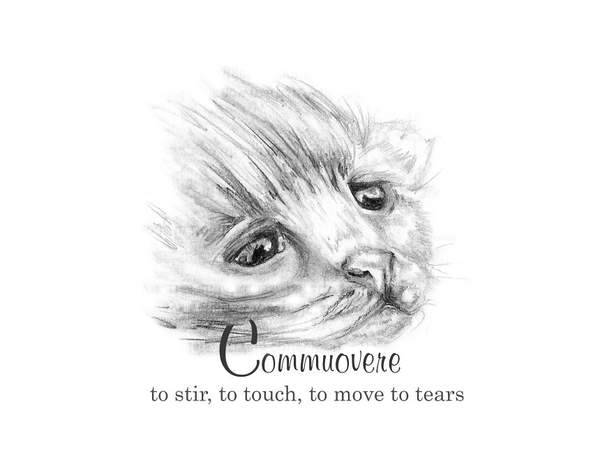 I’ve Paired Some More Of My Doodles With Beautifully Peculiar Words I’ve Paired Some More Of My Doodles With Beautifully Peculiar Words