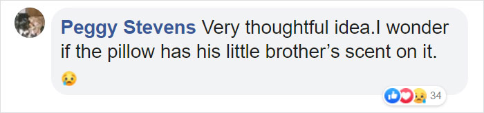 After This Dog&#8217;s Brother Died, His Owner Bought  Him A Pillow With Brother&#8217;s Face To Bring Comfort