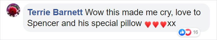 After This Dog&#8217;s Brother Died, His Owner Bought  Him A Pillow With Brother&#8217;s Face To Bring Comfort