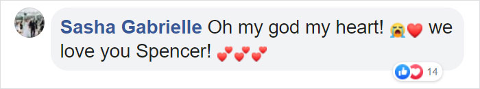 After This Dog&#8217;s Brother Died, His Owner Bought  Him A Pillow With Brother&#8217;s Face To Bring Comfort