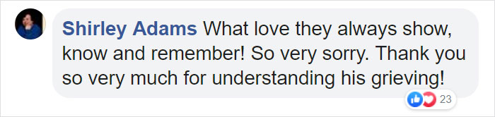 After This Dog&#8217;s Brother Died, His Owner Bought  Him A Pillow With Brother&#8217;s Face To Bring Comfort