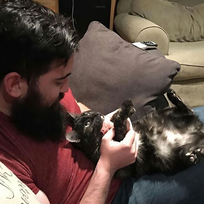 30 Times Jerk Cats Were Publicly Shamed For Their Hilariously Horrible Crimes 30 Times Jerk Cats Were Publicly Shamed For Their Hilariously Horrible Crimes