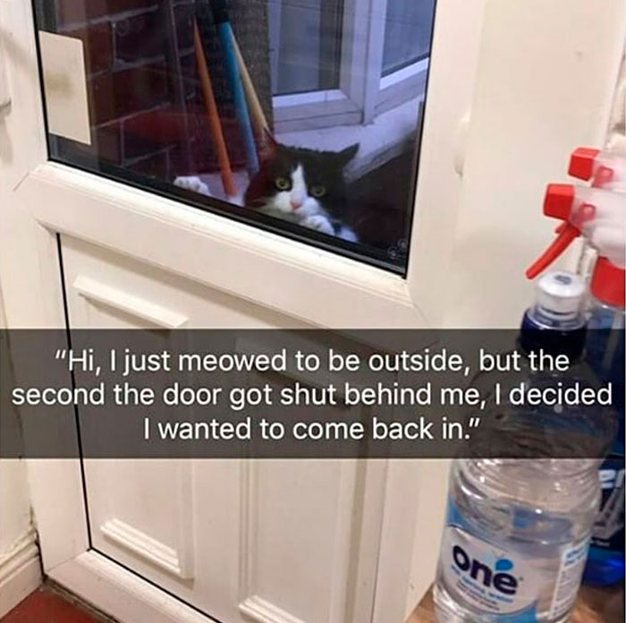 30 Times Jerk Cats Were Publicly Shamed For Their Hilariously Horrible Crimes 30 Times Jerk Cats Were Publicly Shamed For Their Hilariously Horrible Crimes