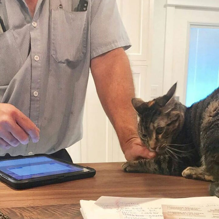 30 Times Jerk Cats Were Publicly Shamed For Their Hilariously Horrible Crimes 30 Times Jerk Cats Were Publicly Shamed For Their Hilariously Horrible Crimes