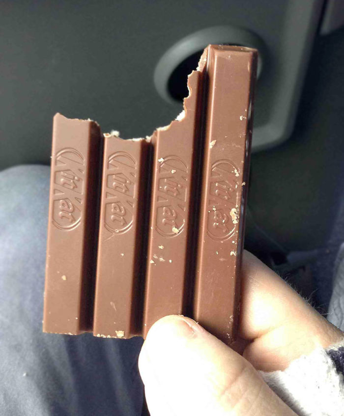 40 Times People Realized They’re Living With A ‘Monster’ And Just Had To Share The Evidence