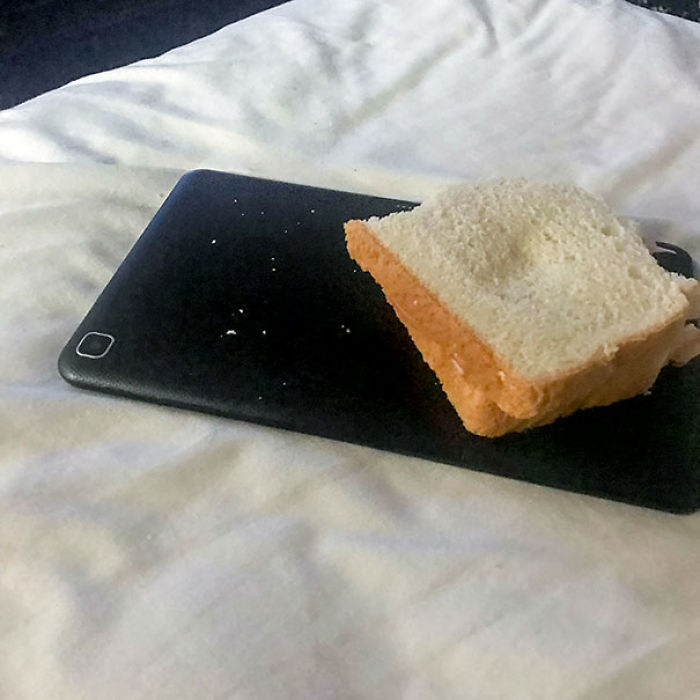 40 Times People Realized They’re Living With A ‘Monster’ And Just Had To Share The Evidence