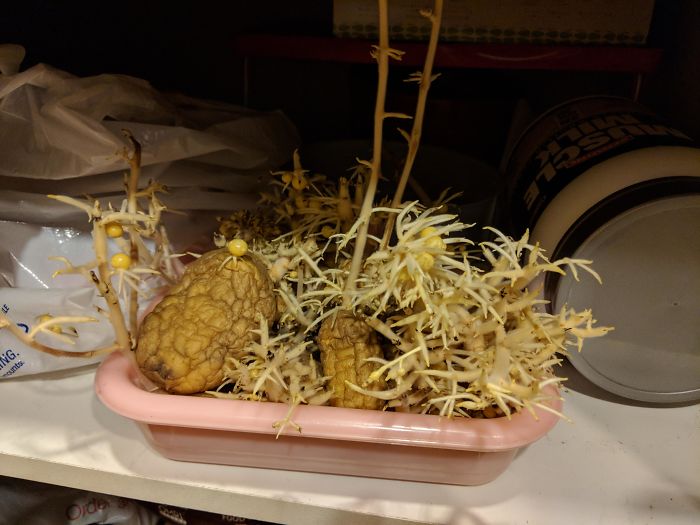 40 Times People Realized They’re Living With A ‘Monster’ And Just Had To Share The Evidence