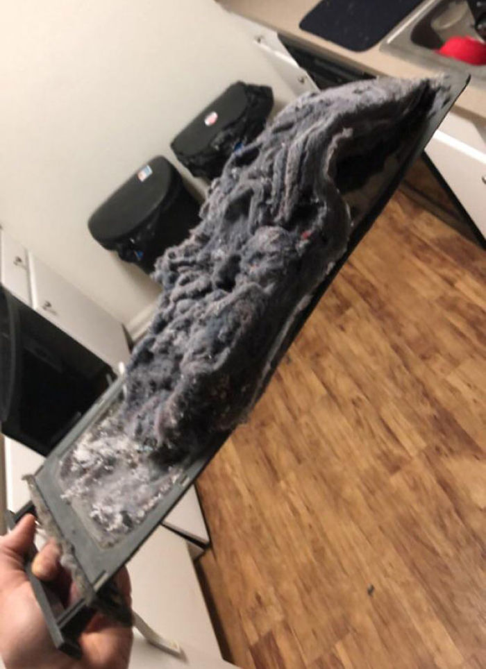 40 Times People Realized They’re Living With A ‘Monster’ And Just Had To Share The Evidence