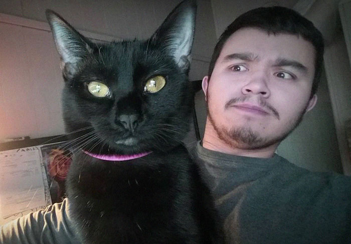 30 Comics That Show What Living With A Cat Is Really Like 30 Comics That Show What Living With A Cat Is Really Like