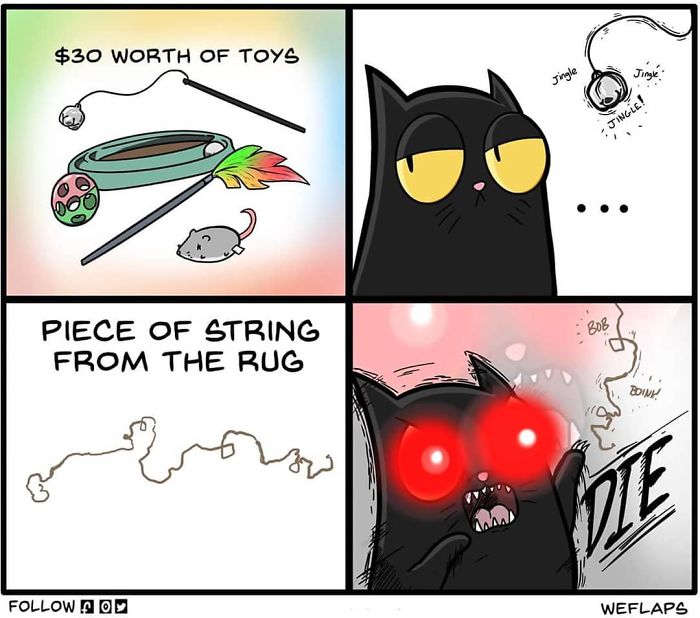 30 Comics That Show What Living With A Cat Is Really Like 30 Comics That Show What Living With A Cat Is Really Like