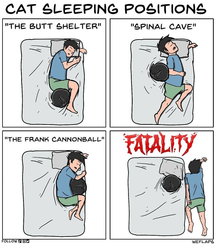 30 Comics That Show What Living With A Cat Is Really Like 30 Comics That Show What Living With A Cat Is Really Like