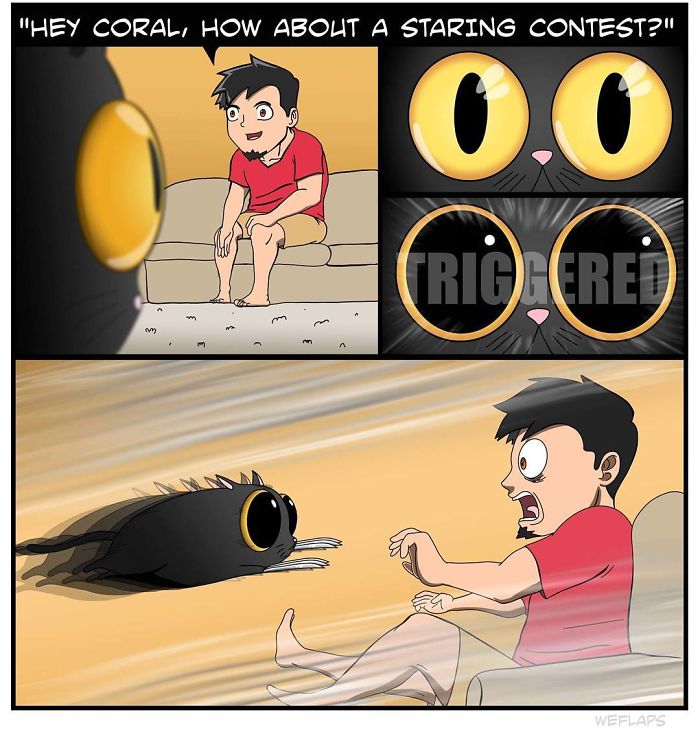 30 Comics That Show What Living With A Cat Is Really Like 30 Comics That Show What Living With A Cat Is Really Like