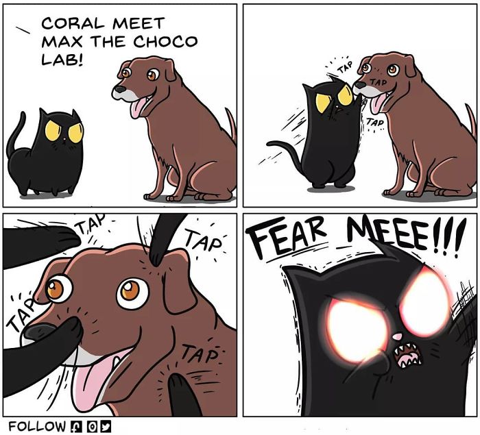 30 Comics That Show What Living With A Cat Is Really Like 30 Comics That Show What Living With A Cat Is Really Like