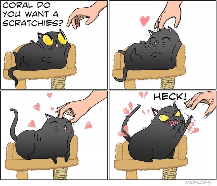 30 Comics That Show What Living With A Cat Is Really Like 30 Comics That Show What Living With A Cat Is Really Like