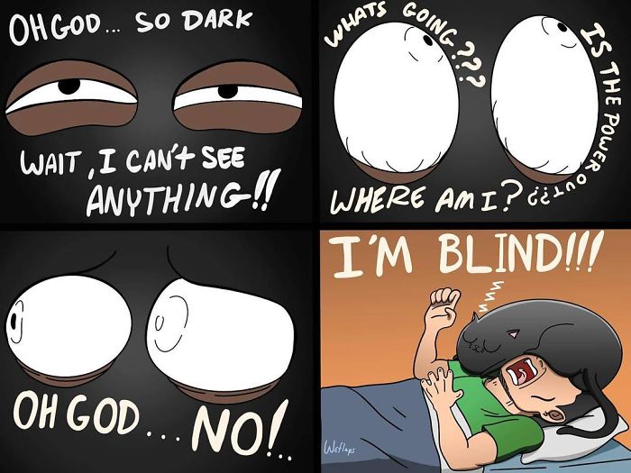 30 Comics That Show What Living With A Cat Is Really Like 30 Comics That Show What Living With A Cat Is Really Like