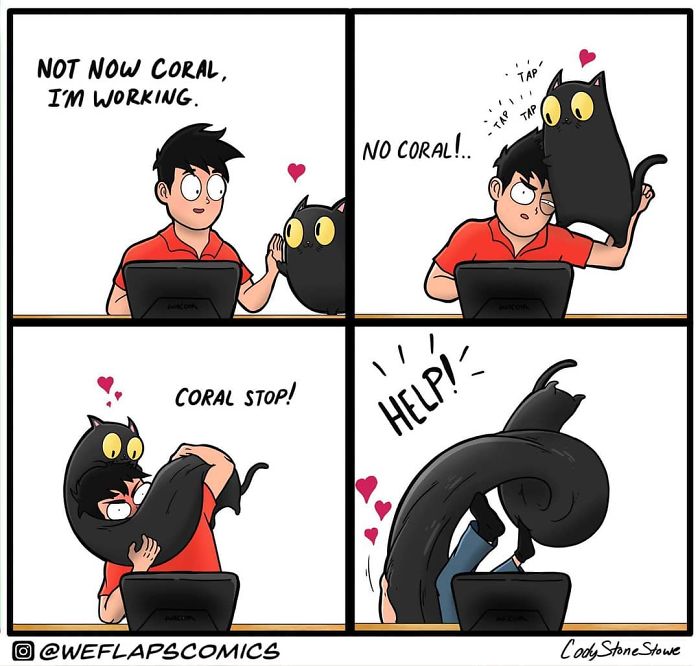 30 Comics That Show What Living With A Cat Is Really Like 30 Comics That Show What Living With A Cat Is Really Like