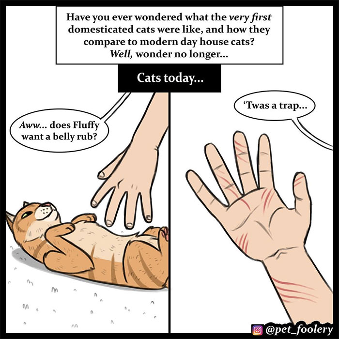 The Differences Between Prehistoric And Today’s Cats Explained In A Hilarious Comic The Differences Between Prehistoric And Today’s Cats Explained In A Hilarious Comic